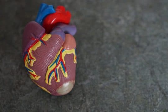 doencas-cardiovasculares